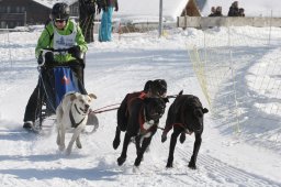 Lenk 2012 SM